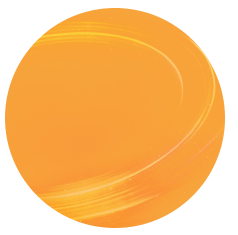 orange circle